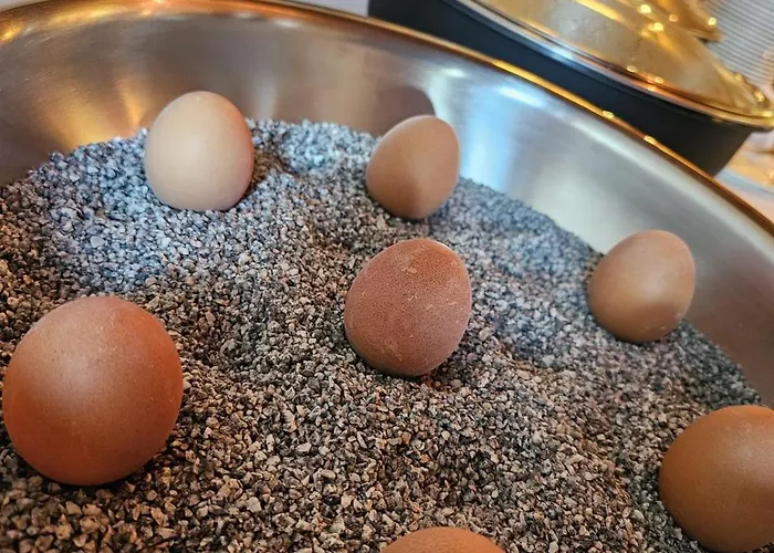 فندق Trail-inn &