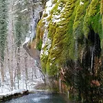 Otel Trail-inn &